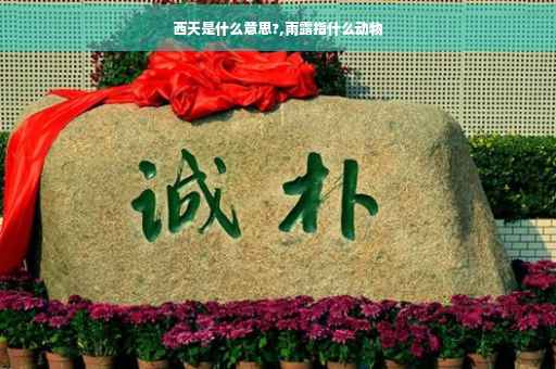 西天是什么意思?,雨露指什么动物
