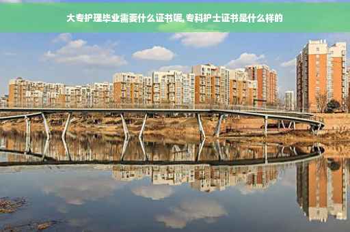 大专护理毕业需要什么证书呢,专科护士证书是什么样的