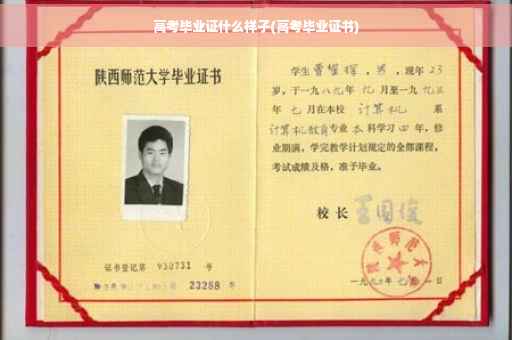 高考毕业证什么样子(高考毕业证书)