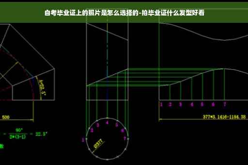 自考毕业证上的照片是怎么选择的-拍毕业证什么发型好看 自考毕业证上的照片是怎么选择的-拍毕业证什么发型好看