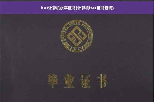 itat计算机水平证书(计算机itat证书查询)
