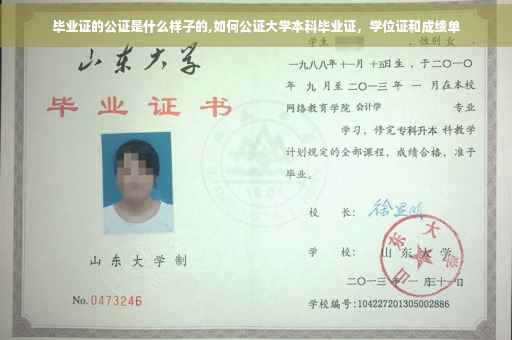 毕业证的公证是什么样子的,如何公证大学本科毕业证，学位证和成绩单