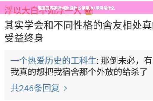 道德品质等级s和h是什么意思,h1级别是什么