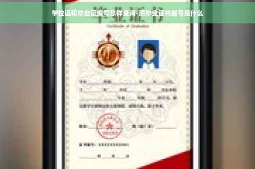学位证和毕业证编号怎样查询-原毕业证书编号是什么
