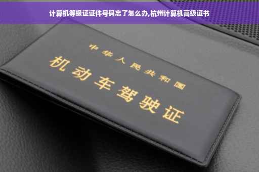 计算机等级证证件号码忘了怎么办,杭州计算机高级证书
