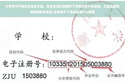 大学学分不够毕业证拿不到，是毕业证已经做好了学校扣着不发给你，还是压根就没有你的毕业证,毕业拿不了毕业证是什么感受