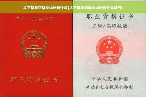 大学毕业给毕业证还有什么(大学毕业给毕业证还有什么证书)