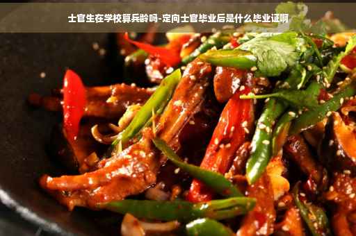 士官生在学校算兵龄吗-定向士官毕业后是什么毕业证啊