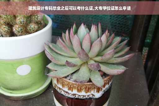 建筑设计专科毕业之后可以考什么证,大专学位证怎么申请