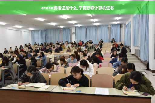 etese资格证是什么,宁夏职称计算机证书