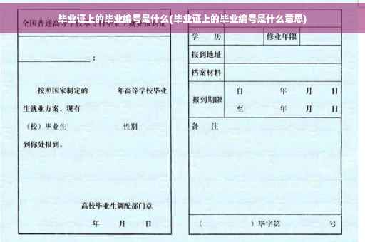 毕业证上的毕业编号是什么(毕业证上的毕业编号是什么意思)