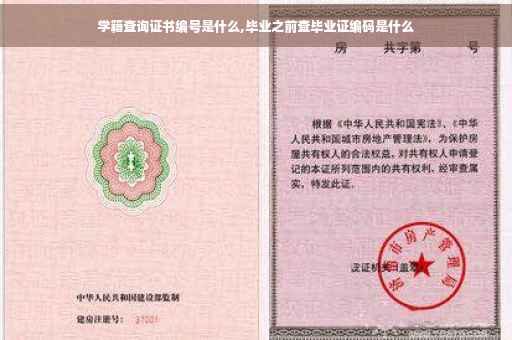 学籍查询证书编号是什么,毕业之前查毕业证编码是什么