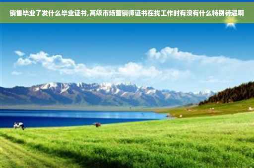 销售毕业了发什么毕业证书,高级市场营销师证书在找工作时有没有什么特别待遇啊