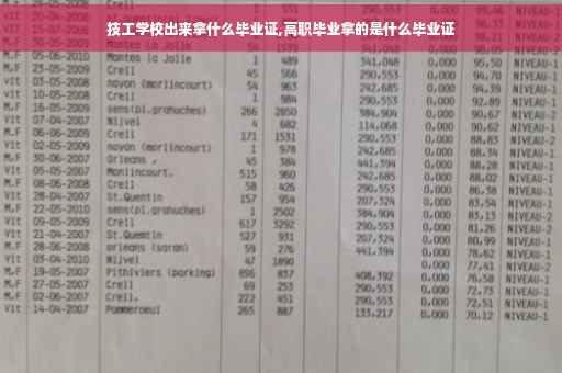 技工学校出来拿什么毕业证,高职毕业拿的是什么毕业证