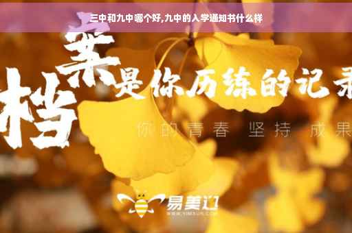 三中和九中哪个好,九中的入学通知书什么样