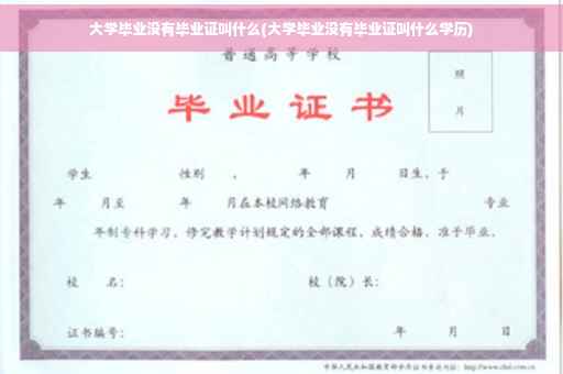 大学毕业没有毕业证叫什么(大学毕业没有毕业证叫什么学历)