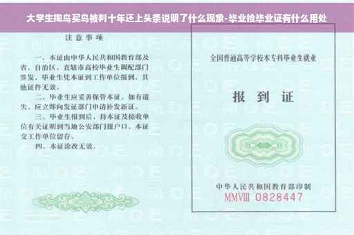 大学生掏鸟买鸟被判十年还上头条说明了什么现象-毕业捡毕业证有什么用处