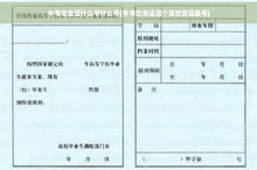 中专毕业证什么字什么号(中专毕业证哪个是毕业证编号)