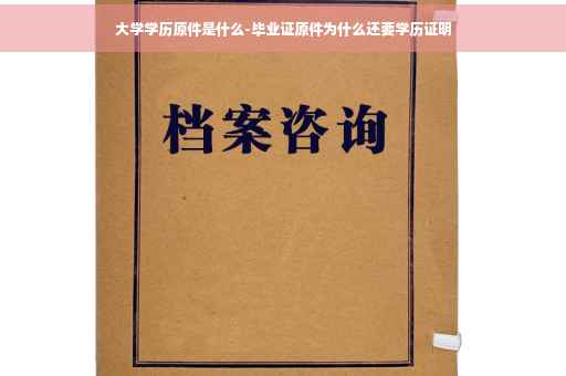 大学学历原件是什么-毕业证原件为什么还要学历证明
