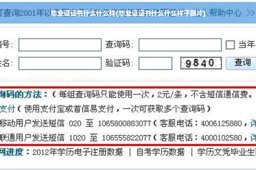 毕业证证书什么什么样(毕业证证书什么什么样子图片)