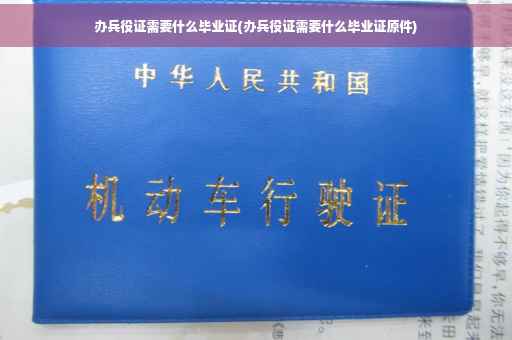 办兵役证需要什么毕业证(办兵役证需要什么毕业证原件)