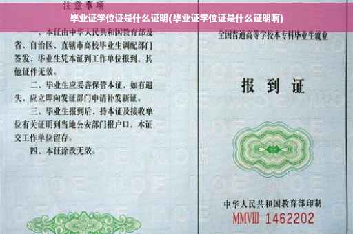 毕业证学位证是什么证明(毕业证学位证是什么证明啊)