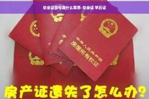 毕业证章号是什么意思-毕业证 学历证