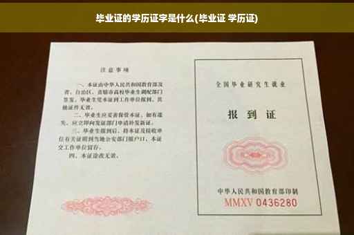 毕业证的学历证字是什么(毕业证 学历证)