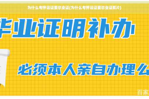 为什么考押运证要毕业证(为什么考押运证要毕业证照片)