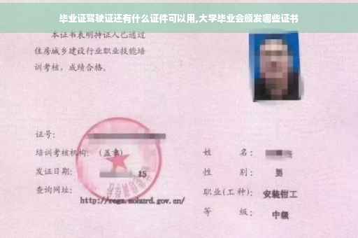 毕业证驾驶证还有什么证件可以用,大学毕业会颁发哪些证书