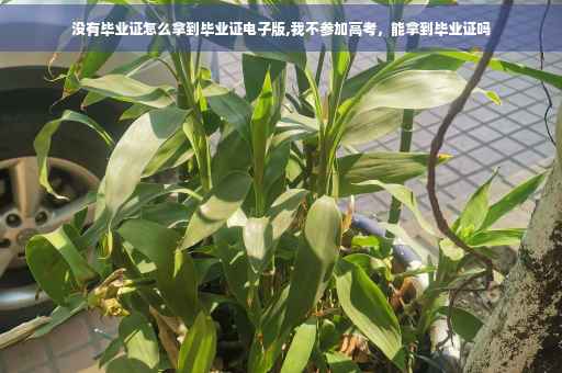 没有毕业证怎么拿到毕业证电子版,我不参加高考，能拿到毕业证吗