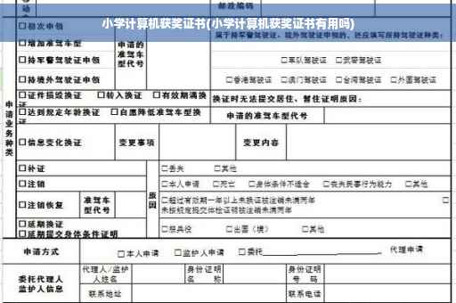 小学计算机获奖证书(小学计算机获奖证书有用吗)