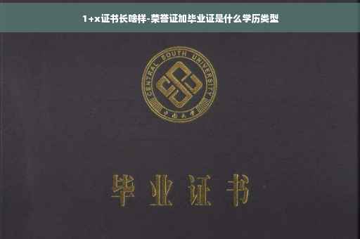 1+x证书长啥样-荣誉证加毕业证是什么学历类型