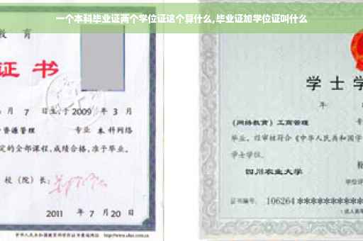 一个本科毕业证两个学位证这个算什么,毕业证加学位证叫什么
