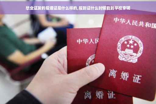 毕业证发的报道证是什么样的,报到证什么时候能到学校拿呢
