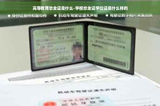 高等教育毕业证是什么-学校毕业证学位证是什么样的