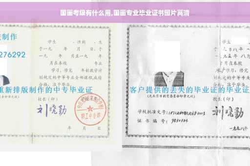 国画考级有什么用,国画专业毕业证书图片高清