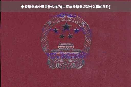 中专毕业毕业证是什么样的(中专毕业毕业证是什么样的图片)
