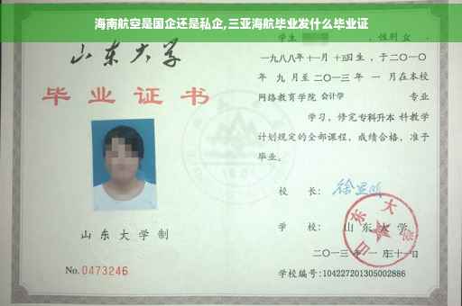海南航空是国企还是私企,三亚海航毕业发什么毕业证