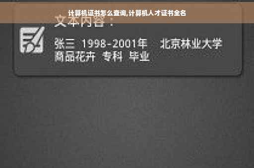 计算机证书怎么查询,计算机人才证书全名
