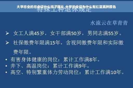 大学毕业的毕业证什么样子图片,大学毕业证为什么有红蓝两种颜色