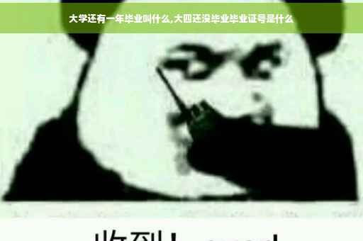 大学还有一年毕业叫什么,大四还没毕业毕业证号是什么