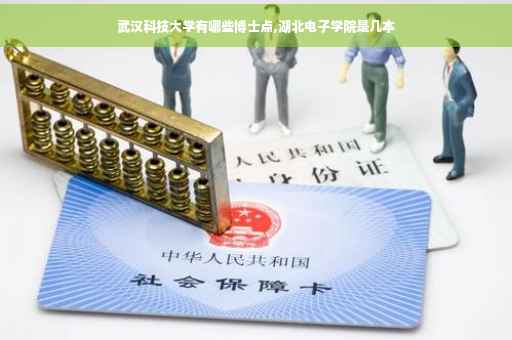 武汉科技大学有哪些博士点,湖北电子学院是几本