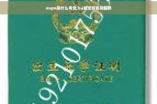mqm是什么专业,ba就业前景及薪酬