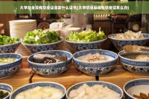 大学毕业没有毕业证会发什么证书(大学毕业后没有毕业证怎么办)