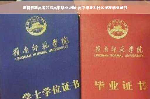 没有参加高考会给高中毕业证吗-高中毕业为什么没发毕业证书