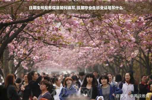 往届生预报名信息如何填写,往届毕业生毕业证号写什么