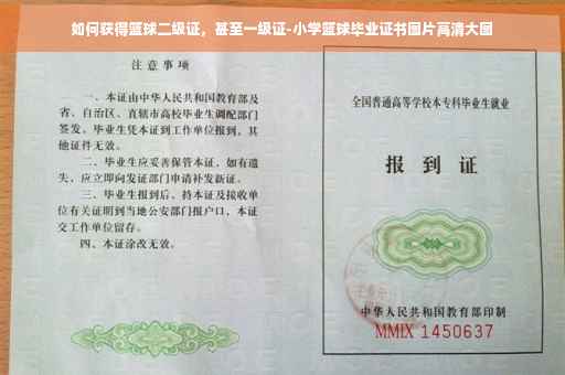 如何获得篮球二级证，甚至一级证-小学篮球毕业证书图片高清大图