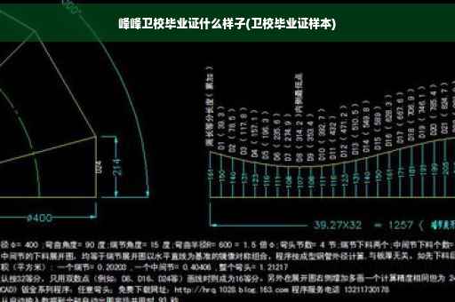 峰峰卫校毕业证什么样子(卫校毕业证样本)