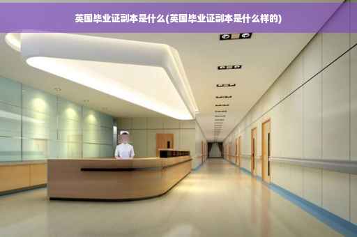 英国毕业证副本是什么(英国毕业证副本是什么样的)